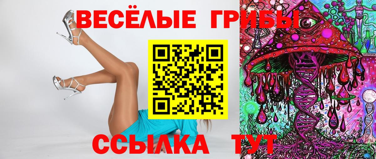 Псилоцибиновые грибы GOLDEN TEACHER  Вход с VPN  Реж 